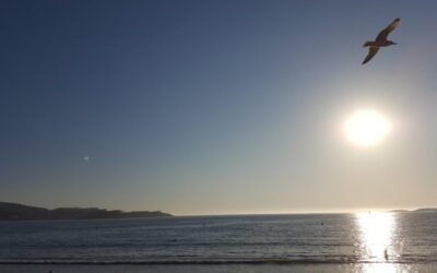 Blog 12 Cómo el mindfulness me ayudó a vivir mejor (y cómo empezar tú también)